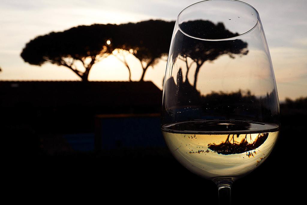 Podere San Giuseppe San Vincenzo Eksteriør billede